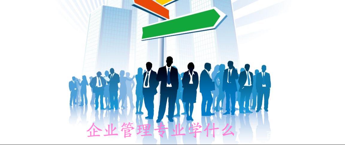 企业管理专业学什么？全面解析企业管理专业核心内容与就业前景